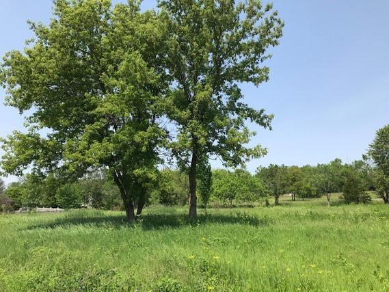 New Homes on 1+ Acres For Sale This Week in Dixon: December 15th to December 21st