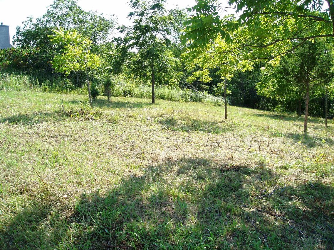 1132 N Clark Ln., Galena, IL 61036