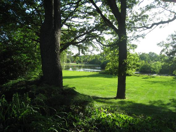 New Homes on 1+ Acres For Sale This Week in Oak Brook: January 12th to January 18th