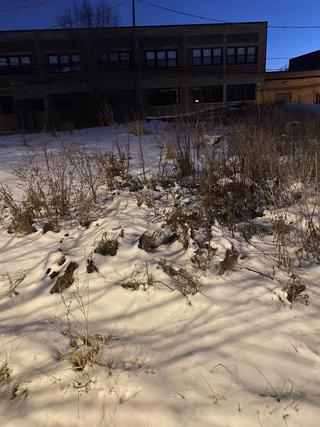 4317 W Lexington St., Chicago, IL 60624