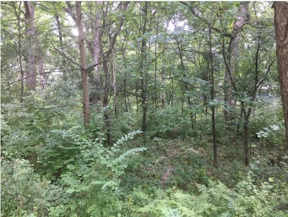 906 Missouri Dr., Dixon, IL 61021