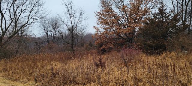 New Homes For Sale This Week in Dixon: January 14th to January 20th