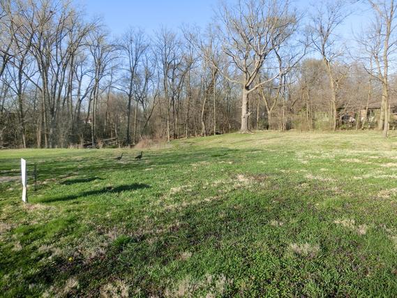 16966 Forest Glen Dr., Tinley Park, IL 60477