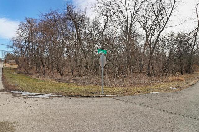 26868 N Morey St., Wauconda, IL 60084