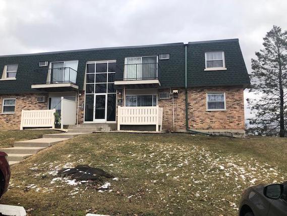 10045 S Walnut Ter. #201, Palos Hills, IL 60465
