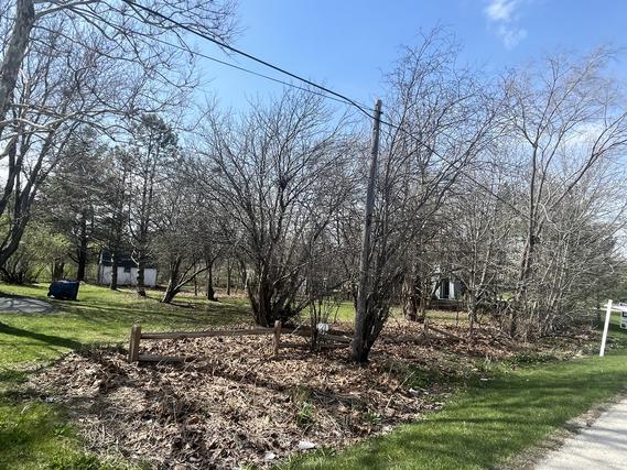 New Homes For Sale This Week That Attend Luther J Schilling School: March 4th to March 10th