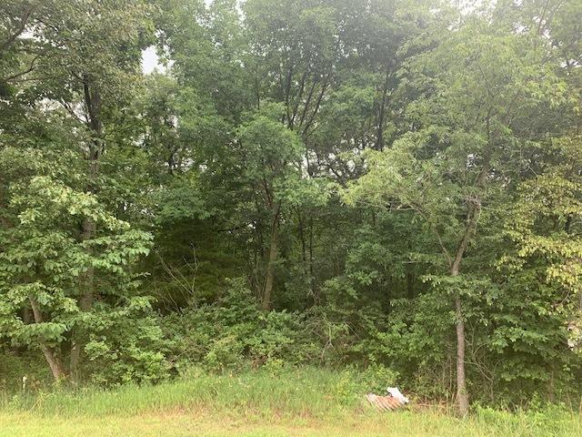 205 Lake Thunderbird Dr., Putnam, IL 61560