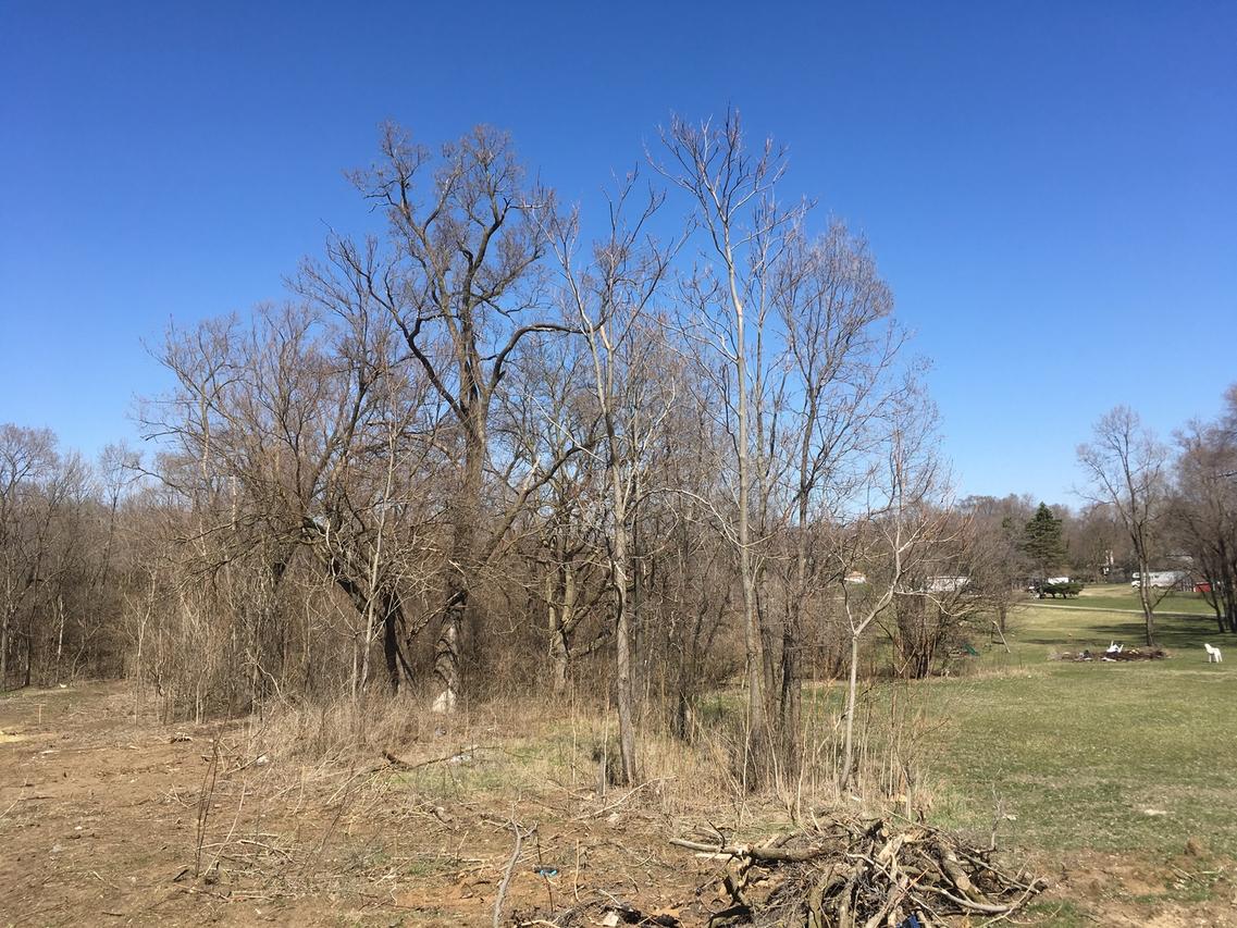 450 W Southmor Rd., Morris, IL 60450