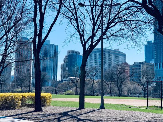 910 S Michigan Ave. #2006, Chicago, IL 60605