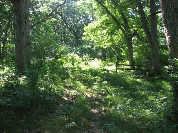 812-814-81 Missouri Dr., Dixon, IL 61021