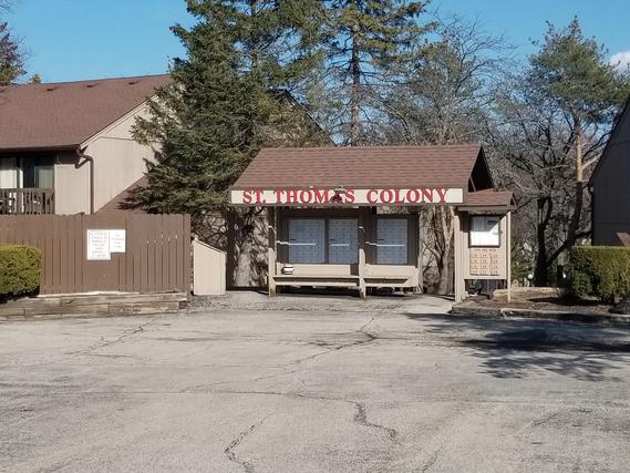 14 Saint  Thomas Colony #1, Fox Lake, IL 60020