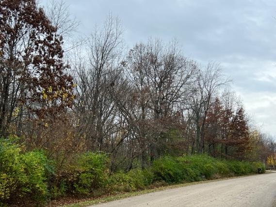 New Homes For Sale This Week That Attend Riley Comm Cons School: April 29th to May 5th