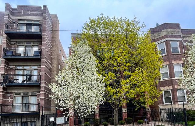 4447 S Indiana Ave. #1F, Chicago, IL 60653