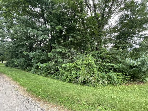 415 Saint Francis Dr., Dixon, IL 61021