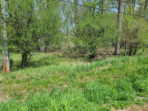 Lot 3 W Riverside Dr., Mchenry, IL 60050