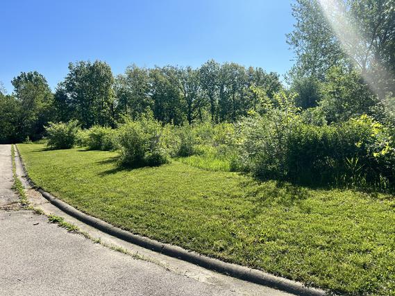 12211 W Spring Lake Dr., Homer Glen, IL 60491