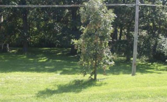 8117 W 123rd St., Palos Park, IL 60464