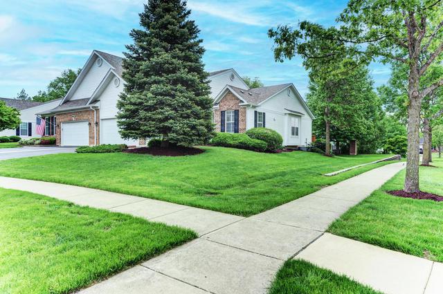 New Active Adult 55+ Homes For Sale in Carol Stream: May 26th to June 1st