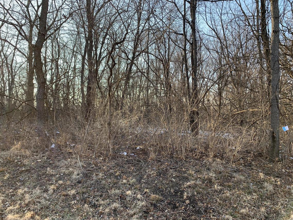8 Oak Dr., Putnam, IL 61560