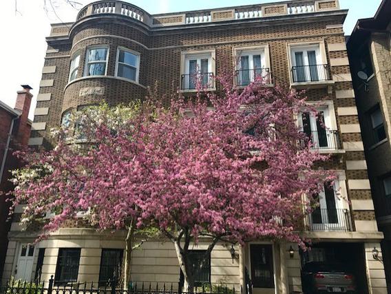 710 W Junior Ter. #2, Chicago, IL 60613