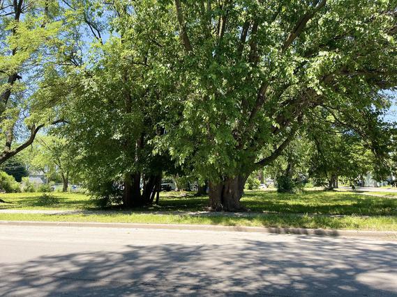 906 W 52nd St., Chicago, IL 60609