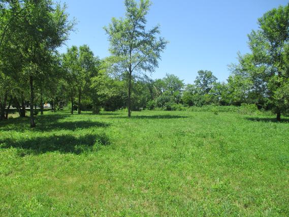 10 Anthony Ct., Wayne, IL 60184