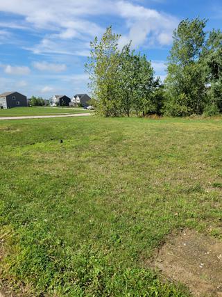 3818 Trillium Tr., Elgin, IL 60124