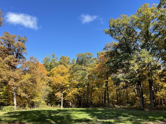 12920 Francis Rd., Mokena, IL 60448