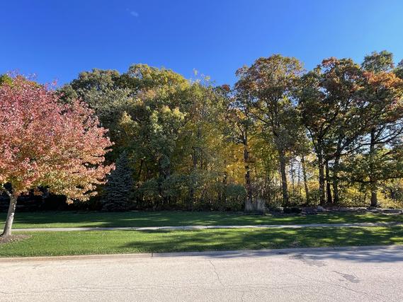 New Homes on 1+ Acres For Sale This Week in Mokena: August 10th to August 16th