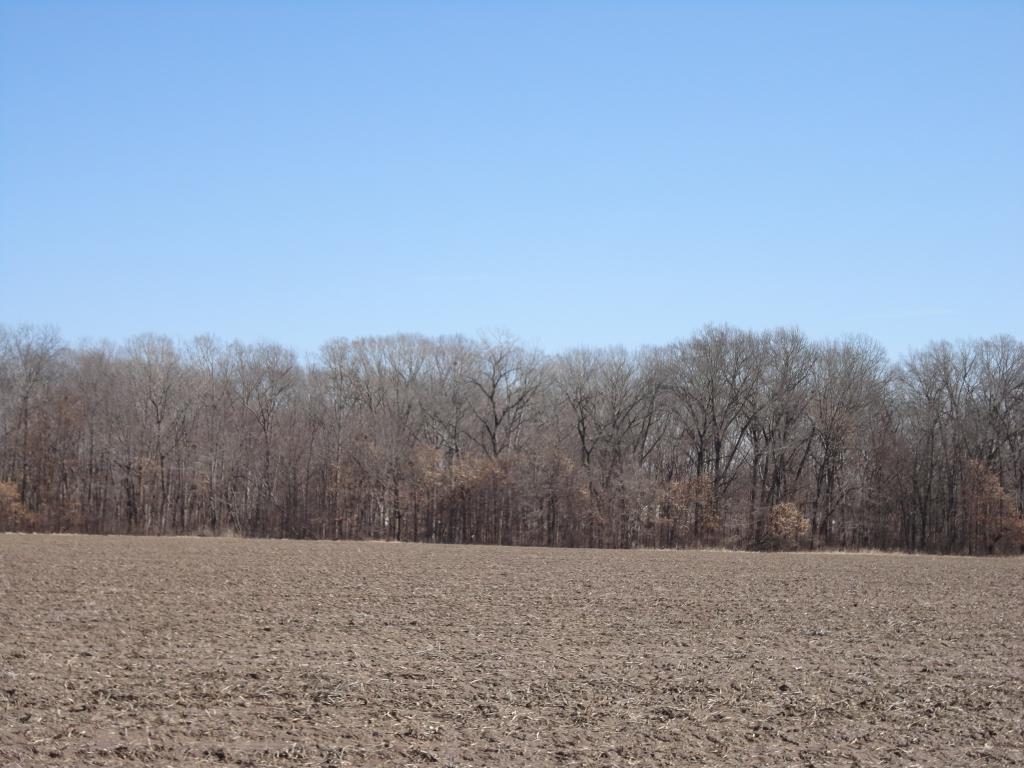 LOT 6 1775 Rd., Shelbyville, IL 62565
