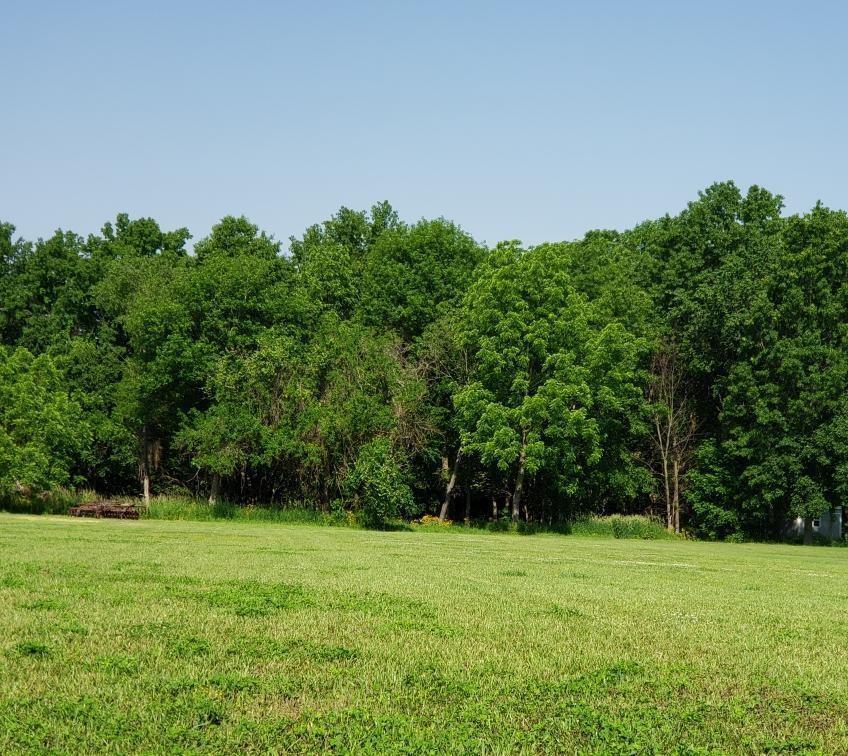 Lot 1 County Hwy 30 Hwy., Shelbyville, IL 62565