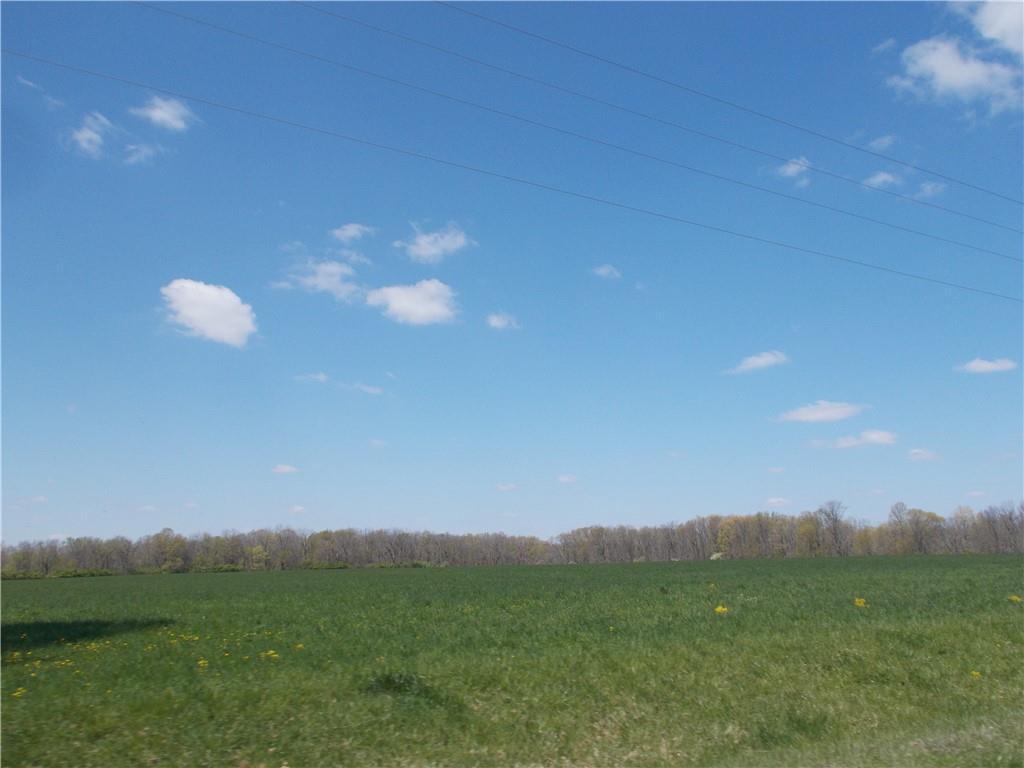 Sec 28 S Hwy 42#, Shelbyville, IL 62565