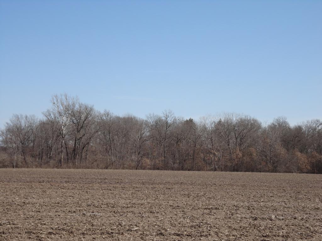 LOT 11 1775 Rd., Shelbyville, IL 62565