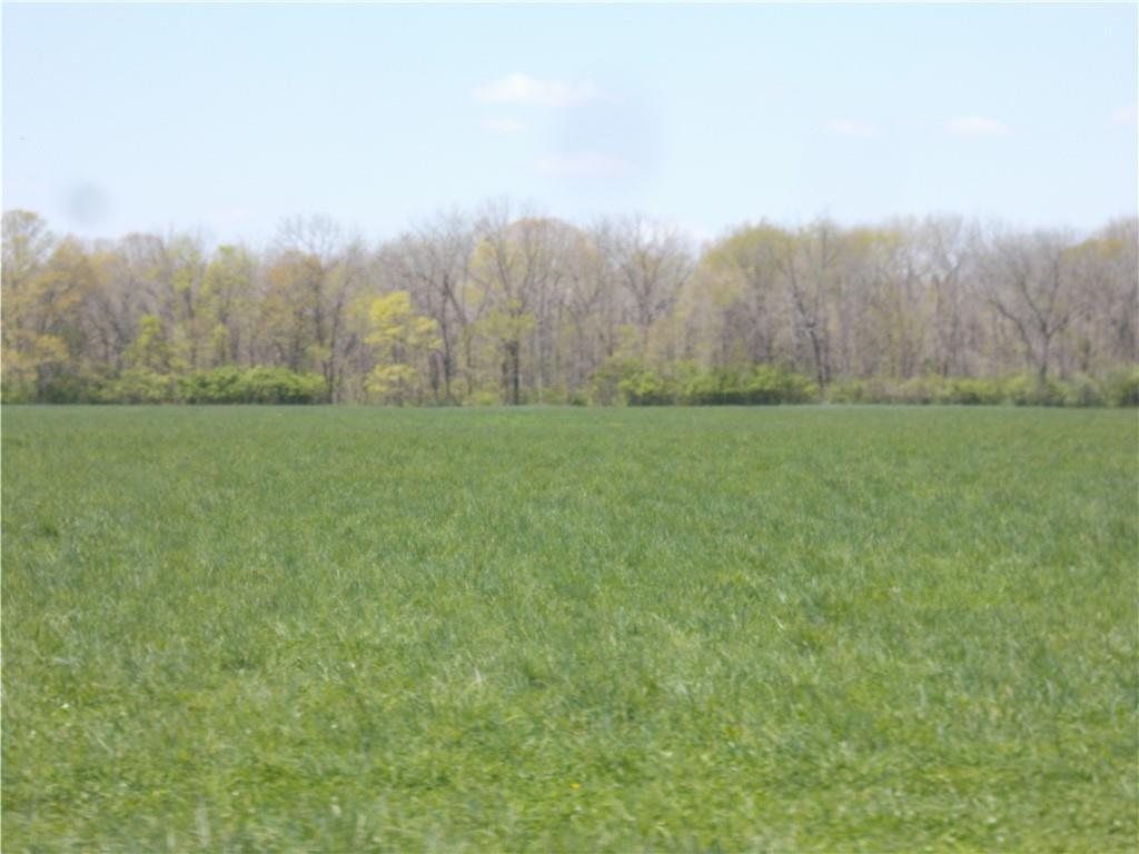 Sec 28 S Hwy 42#, Shelbyville, IL 62565