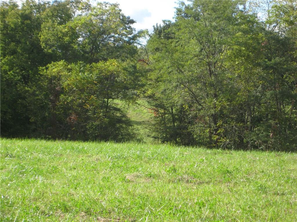 Rr 3, Shelbyville, IL 62565