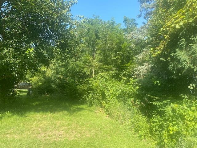 29/172 Woodhaven, Sublette, IL 61367