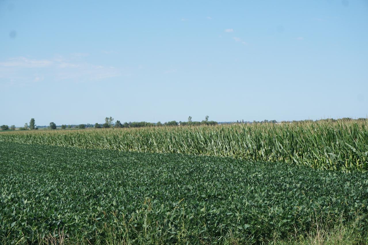 Sec 5 East Cr10 T16n R6e Rd., Mineral, IL 61344