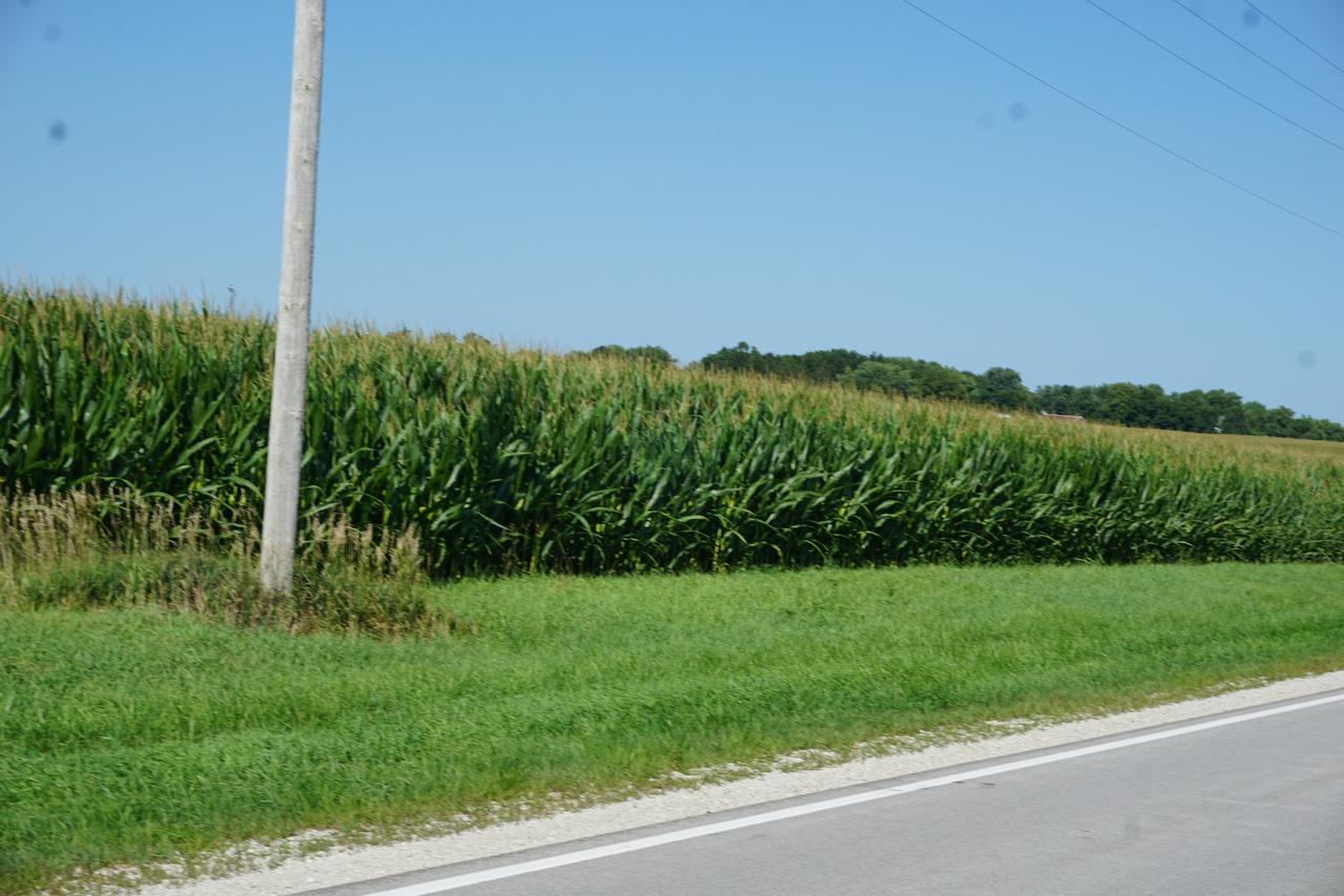 Sec 5 T16n R6e Rd., Mineral, IL 61344