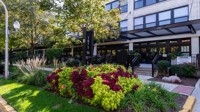 1071 W 15th St. #202, Chicago, IL 60608
