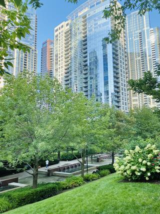 201 N Westshore Dr. #803, Chicago, IL 60601