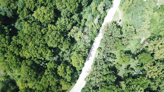 279 Spring St., Cary, IL 60013