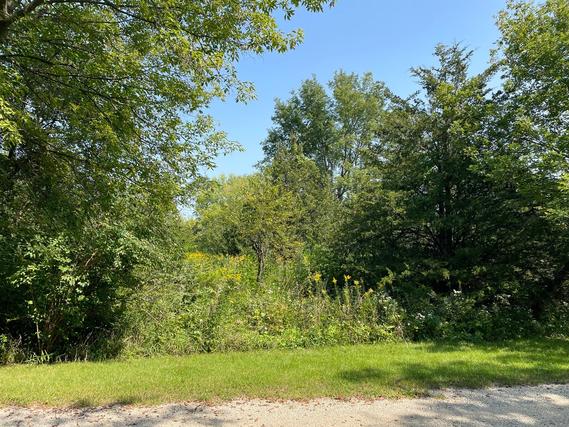 317 Otter Trail Ln., Dixon, IL 61021