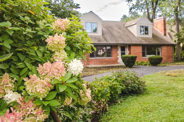 303 W Olive Ave., Prospect Heights, IL 60070