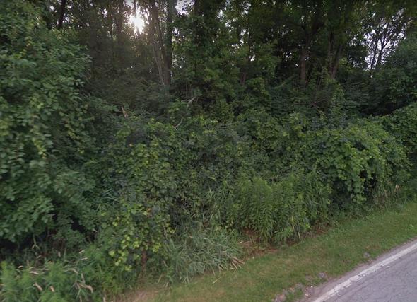 Lot 8 Drendel Rd., Downers Grove, IL 60515