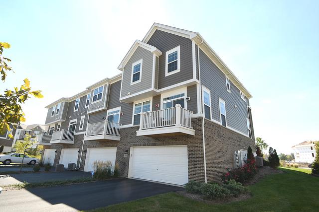 13908 S Addison Tr., Homer Glen, IL 60491