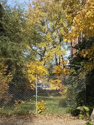 2902 W Flournoy St., Chicago, IL 60612