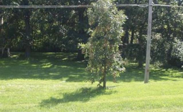 New Homes For Sale This Week in Palos Park: October 14th to October 20th