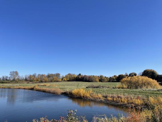 9999 Route 71 Hwy., Yorkville, IL 60560