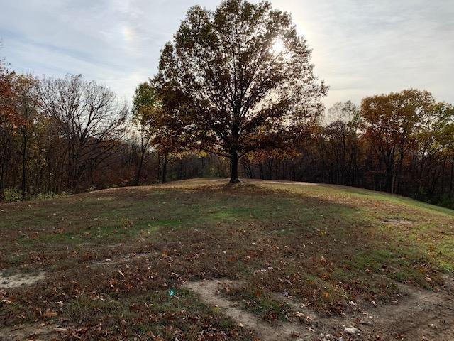 1898 E 1200 North Rd., Shelbyville, IL 62565