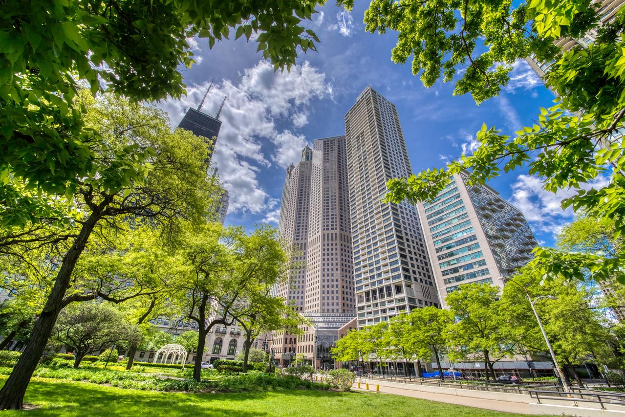 1000 N Lake Shore Plz. #33C, Chicago, IL 60611